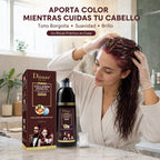 DISAAR– Champú Color Rojo Borgoña con Colágeno y Aceite de Argán para Cabello y Barba 400ml