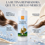 Champú Regenerador al Ajo – Fortalece, Nutre y Revitaliza el Cabello Tratado | 1000/300 ml