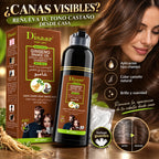 DISAAR – Champú Cubre Canas Castaño de Aplicación Rápida 400 ml