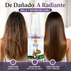 Ever Ego Italy – Pack Capilar de Ajo Fortalecedor para Cabello Dañado y Teñido 4 Productos